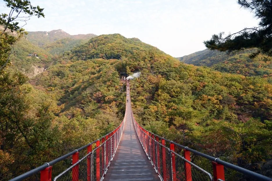 가을 감악산 출렁다리 위에서 바라본 건너편 산비탈과 이어지는 길