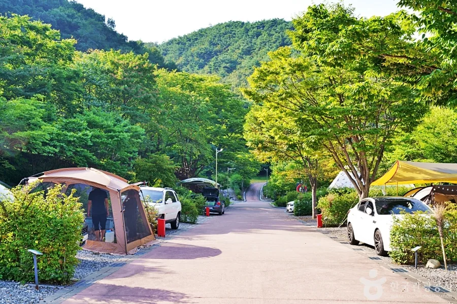 대둔산 수락캠핑장 전경