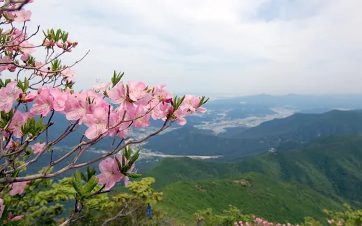 가지산