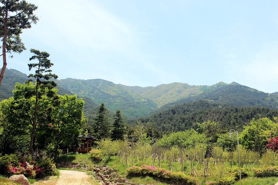 봄 — 늦봄, 신록에 잠긴 지리산 자락 ⓒ최옥석 · CC BY-SA 3.0