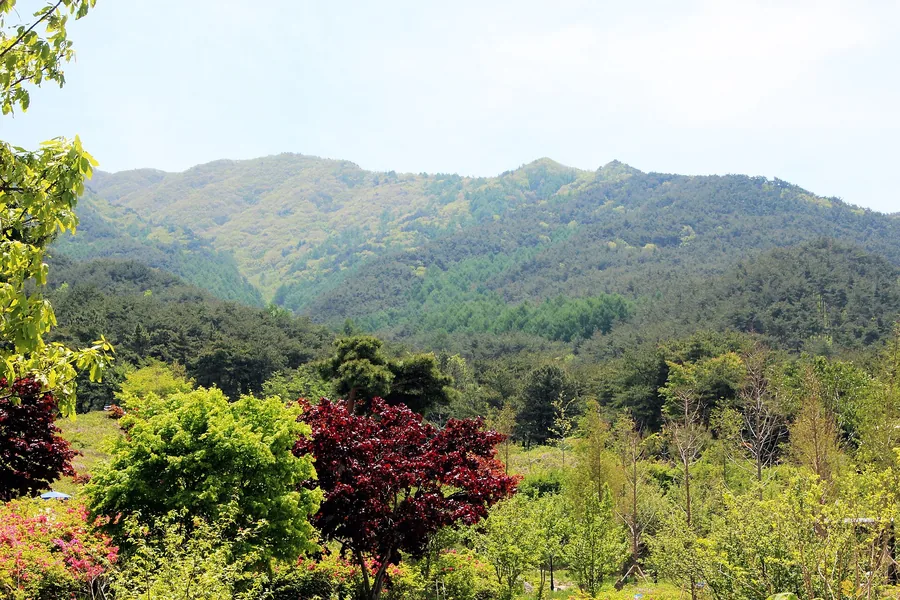 여름 — 여름 지리산의 짙은 녹음 ⓒ최옥석 · CC BY-SA 4.0