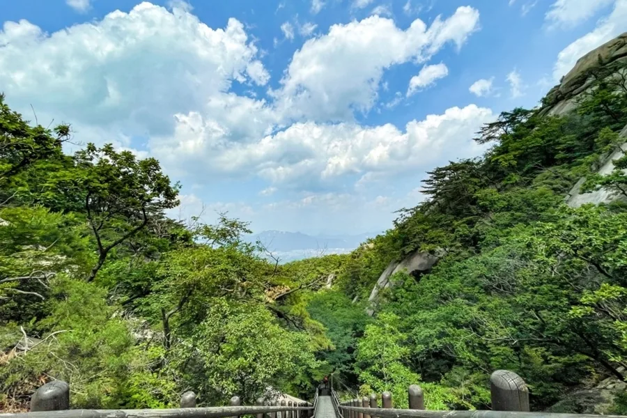 Long flight of built steps with handrails through forest on the Ui-dong route up Bukhansan