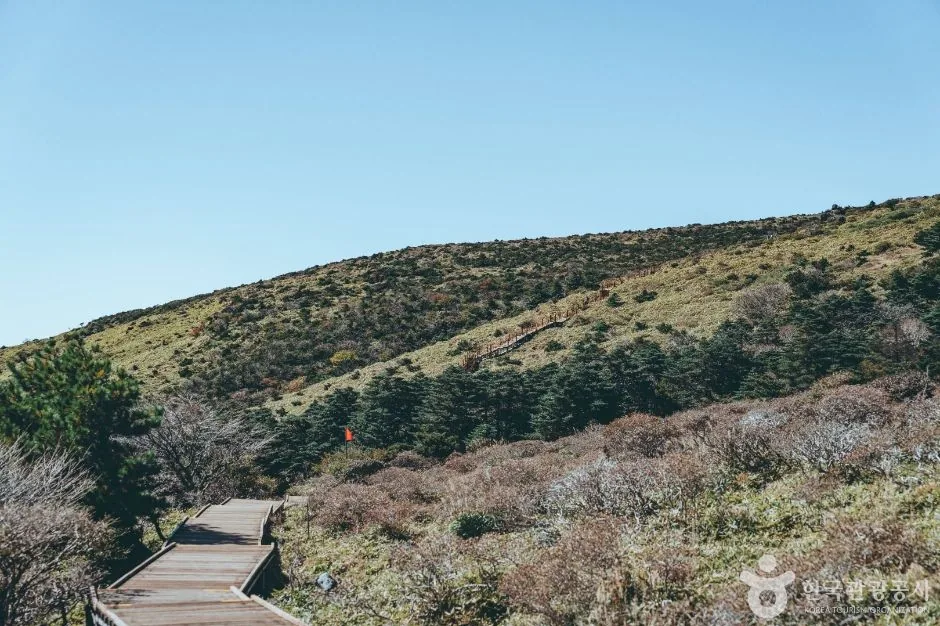Boardwalk crossing open moorland above the treeline on Hallasan