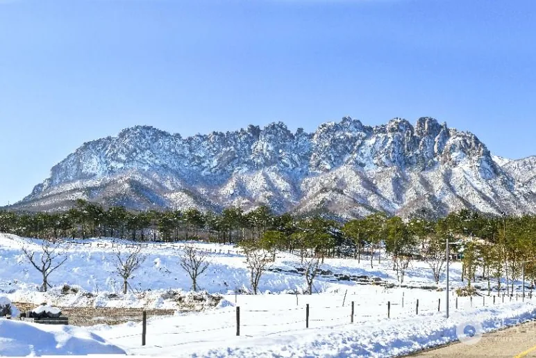Snow-covered Ulsanbawi Rock seen across snowy fields near Sokcho