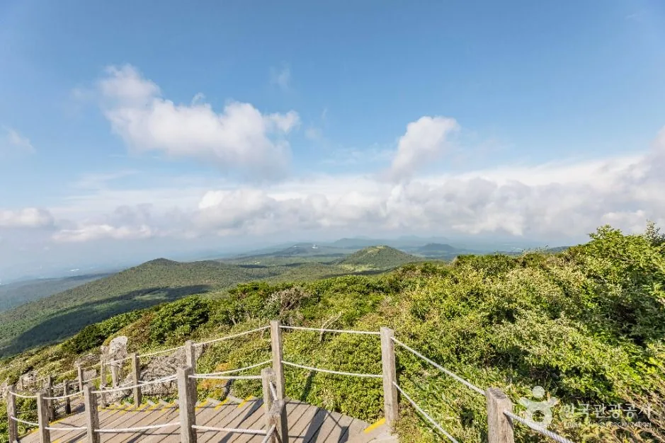 Viewing deck on the Yeongsil Trail overlooking Jeju's oreum