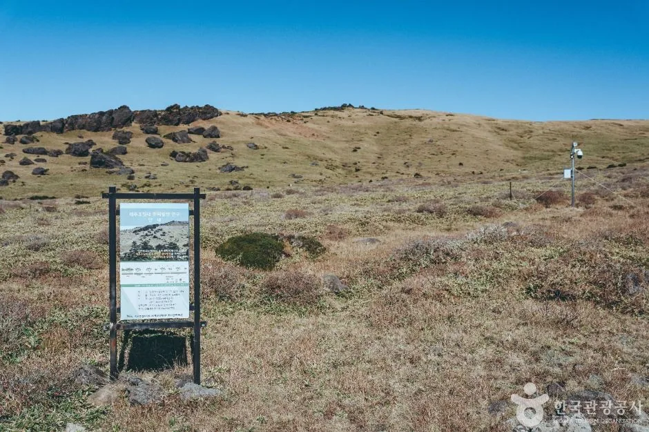 Open grassland plateau with lava rock on Hallasan under a clear sky